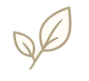 icon1